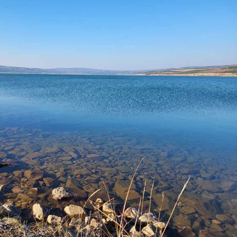 Stavebníci zahájili přípravné práce okolo Medardu. Jezero se nebude oplocovat